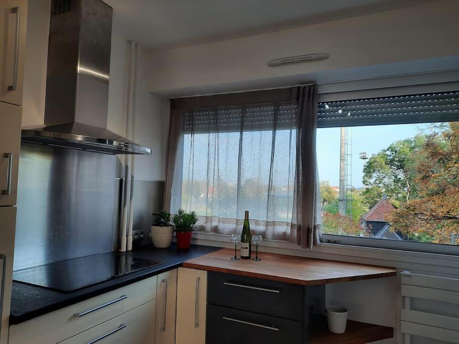Apartament Chez Alice Colmar Zewnętrze zdjęcie